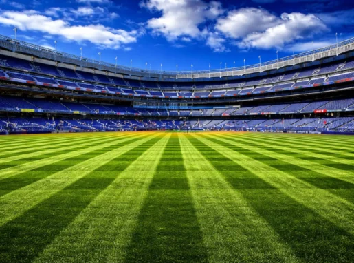Football Turf banner Football Turf banner